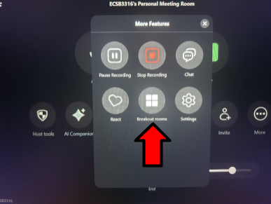Breakout Rooms Option